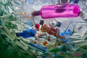 Read more about the article A running list of action on plastic pollution