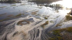 Read more about the article Report finds widespread contamination from nation’s coal ash sites